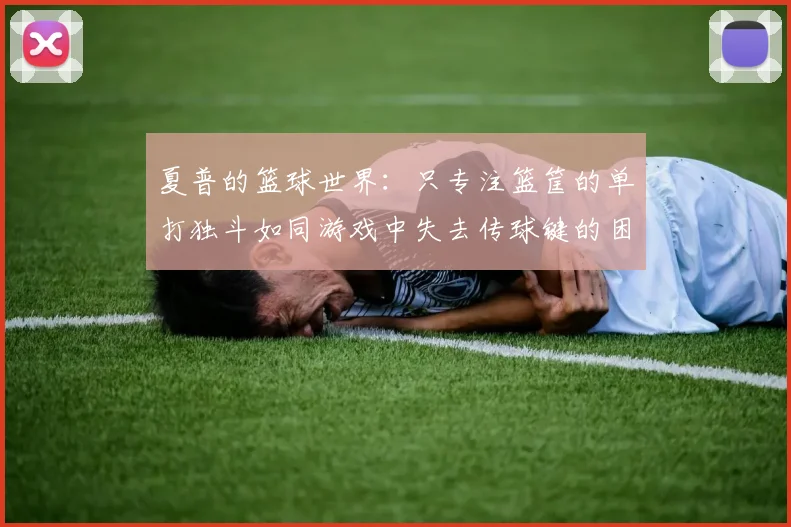 夏普的篮球世界：只专注篮筐的单打独斗如同游戏中失去传球键的困境