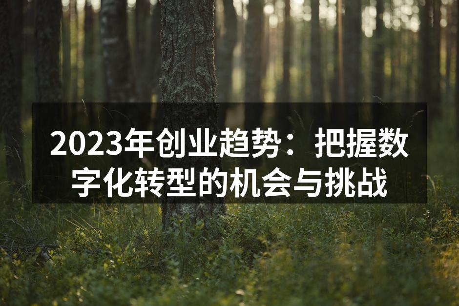 2023年创业趋势：把握数字化转型的机会与挑战