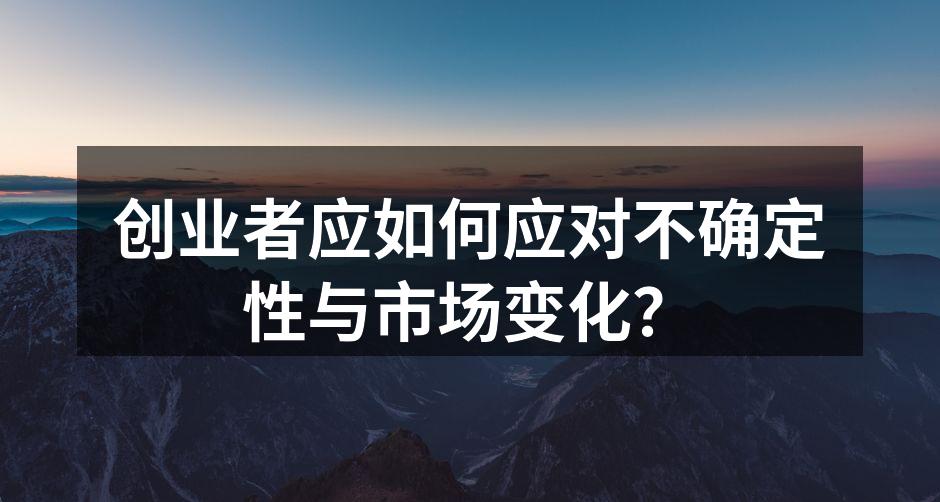 创业者应如何应对不确定性与市场变化？